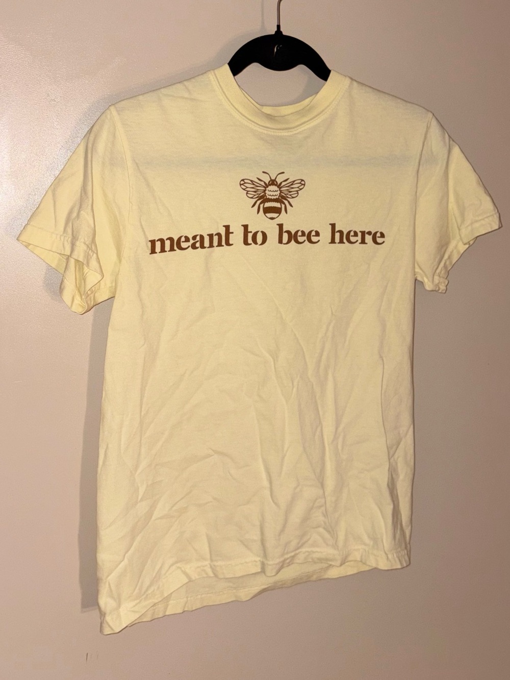 Comfort Colors Yellow Graphic Tee with Brown Bee Print